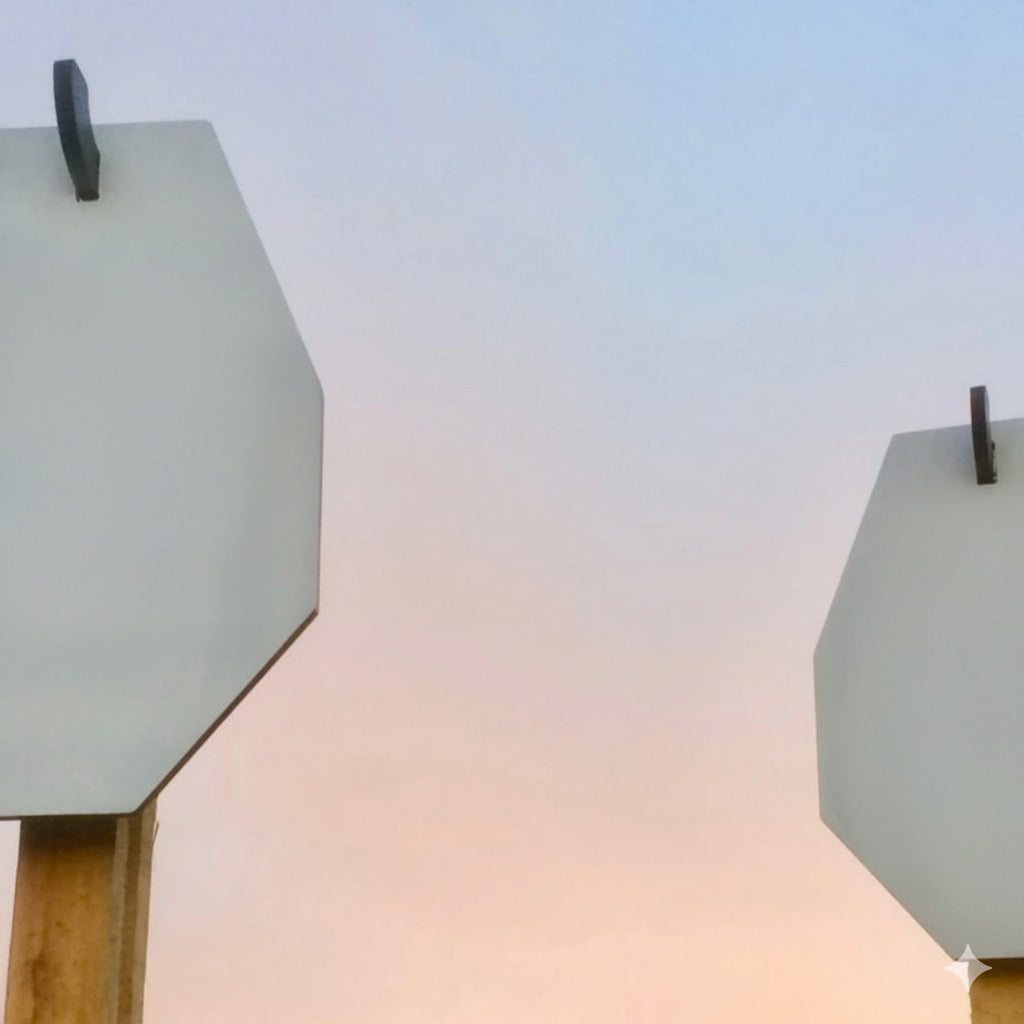 Cible "CHARLY" sur pied, tous calibres