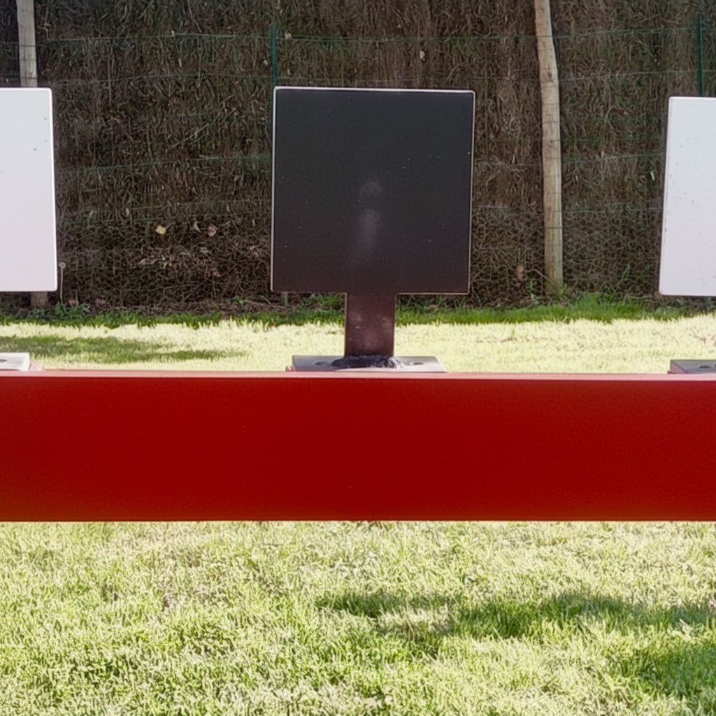 "RACK TAR", 5 gongs 200x200x12, tous calibres armes de poing, à relevage par corde