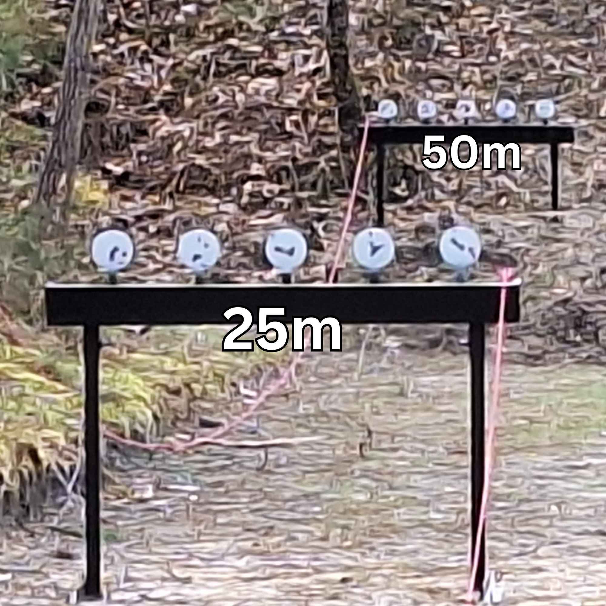 Gong de tir Rack TAR 22 LR | Ciblerie officielle TAR 22 | À relevage par câble idéal extérieur